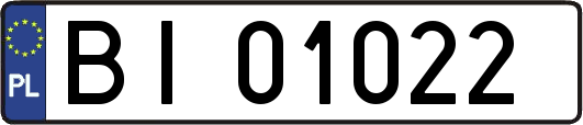 BI01022