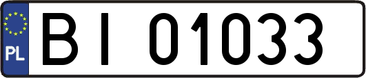 BI01033