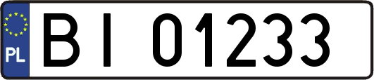 BI01233