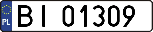BI01309