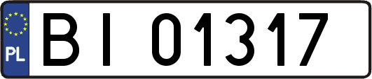 BI01317