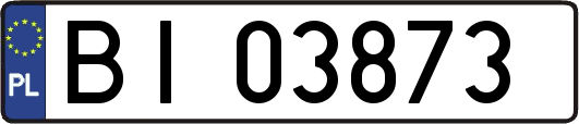 BI03873