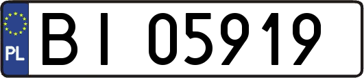 BI05919