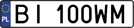 BI100WM