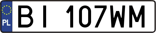 BI107WM