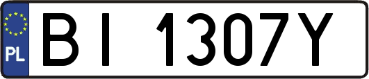 BI1307Y