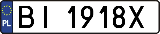 BI1918X