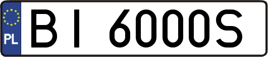 BI6000S