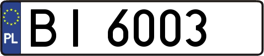 BI6003