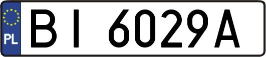 BI6029A