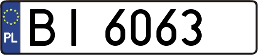 BI6063