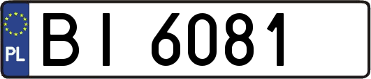 BI6081