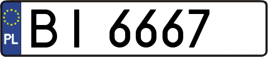 BI6667
