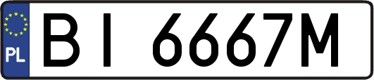 BI6667M