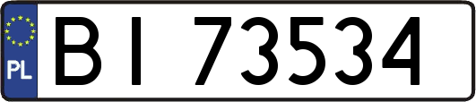 BI73534