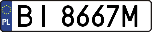 BI8667M