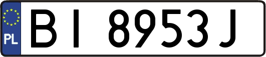 BI8953J