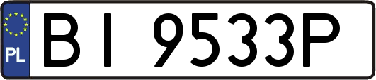 BI9533P