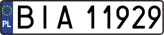 BIA11929