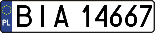 BIA14667