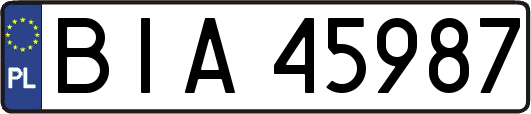 BIA45987