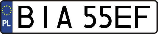 BIA55EF