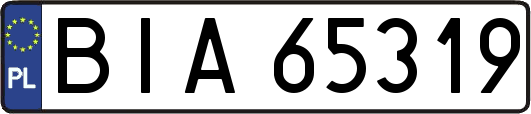 BIA65319