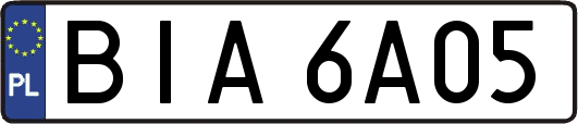 BIA6A05