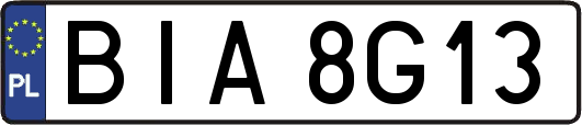 BIA8G13