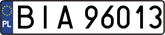 BIA96013