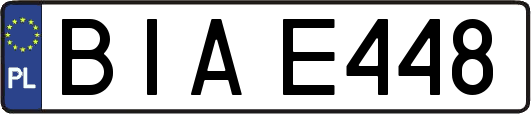 BIAE448