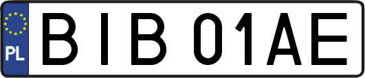 BIB01AE