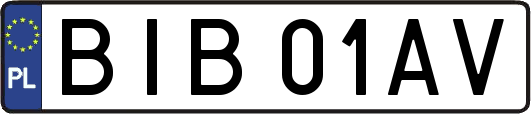 BIB01AV