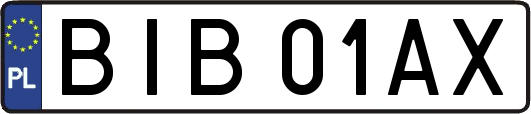BIB01AX