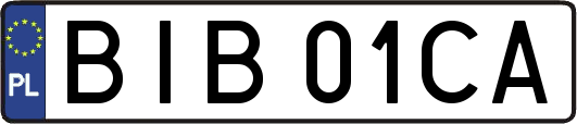 BIB01CA
