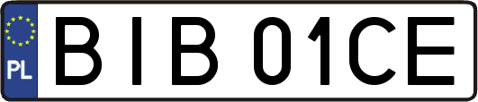 BIB01CE