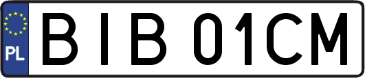BIB01CM