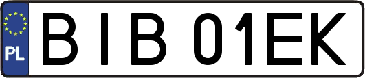 BIB01EK