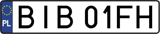 BIB01FH