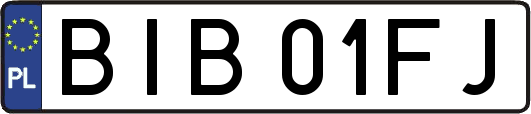 BIB01FJ