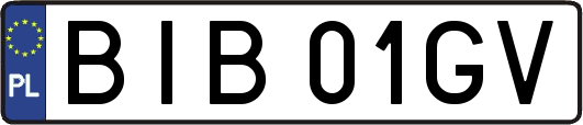 BIB01GV