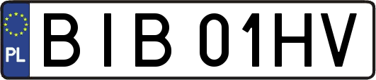 BIB01HV