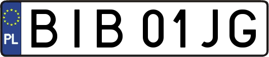 BIB01JG