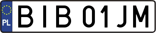 BIB01JM