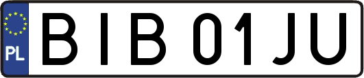 BIB01JU