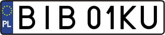 BIB01KU