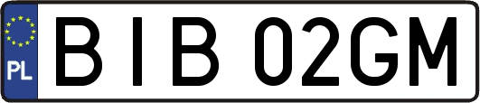 BIB02GM