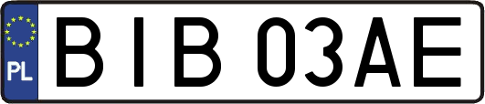 BIB03AE