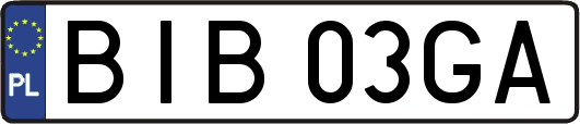 BIB03GA