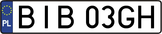 BIB03GH